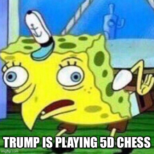 triggerpaul | TRUMP IS PLAYING 5D CHESS | image tagged in triggerpaul | made w/ Imgflip meme maker