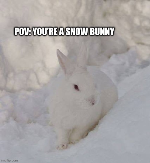 bnuuy of the day 12/2 | POV: YOU’RE A SNOW BUNNY | image tagged in bnuuy,bunny,snow,winter,memes | made w/ Imgflip meme maker