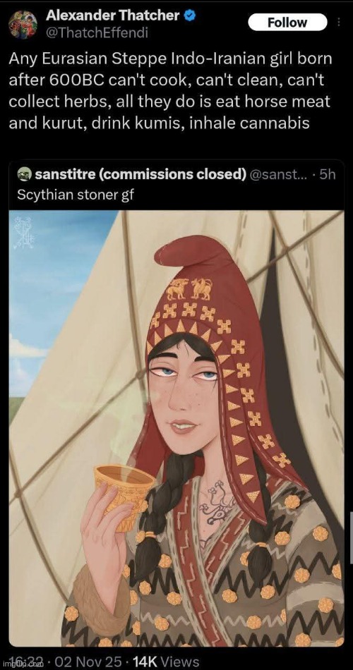 W lifestyle tbh | image tagged in aryan,indo european | made w/ Imgflip meme maker