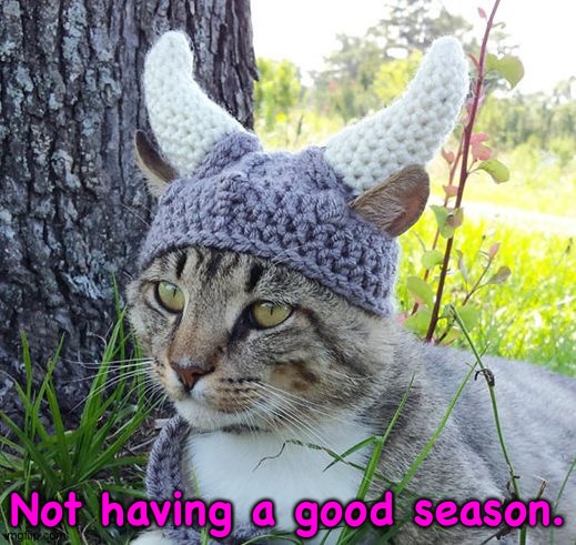 Not a good season at all. | Not having a good season. | image tagged in viking cat crochete hat | made w/ Imgflip meme maker