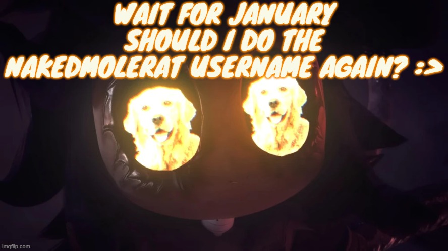 Doggy eyes :3 | WAIT FOR JANUARY SHOULD I DO THE NAKEDMOLERAT USERNAME AGAIN? :> | image tagged in doggy eyes 3 | made w/ Imgflip meme maker