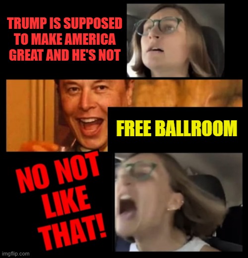 Make America Great Again | TRUMP IS SUPPOSED TO MAKE AMERICA GREAT AND HE'S NOT; FREE BALLROOM | image tagged in elon musk no not like that | made w/ Imgflip meme maker
