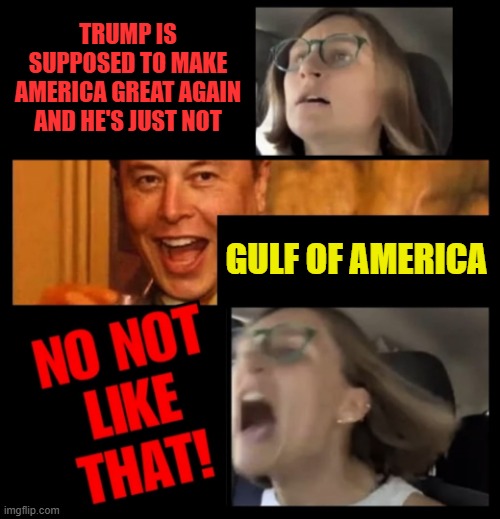 Make America Great Again | TRUMP IS SUPPOSED TO MAKE AMERICA GREAT AGAIN AND HE'S JUST NOT; GULF OF AMERICA | image tagged in elon musk no not like that | made w/ Imgflip meme maker