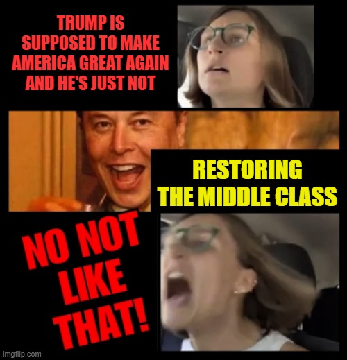 Make America Great Again | TRUMP IS SUPPOSED TO MAKE AMERICA GREAT AGAIN AND HE'S JUST NOT; RESTORING THE MIDDLE CLASS | image tagged in elon musk no not like that | made w/ Imgflip meme maker
