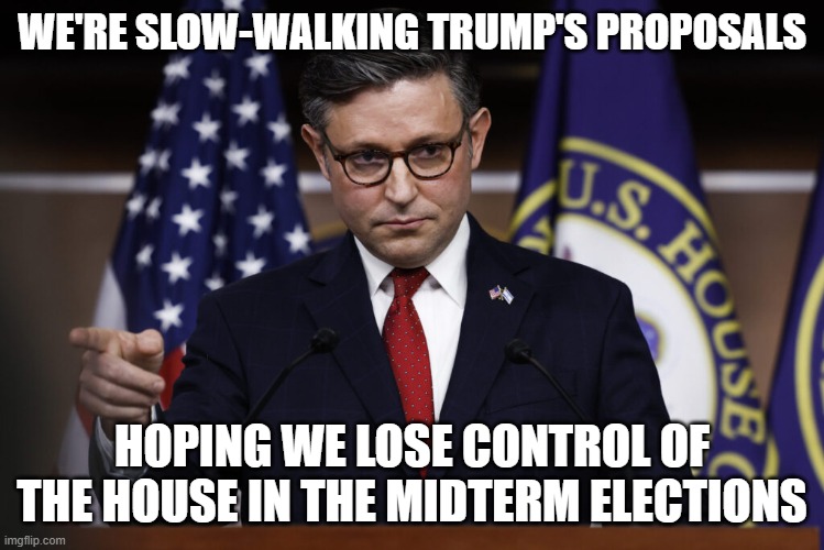 Non-Maga GOP sucks | WE'RE SLOW-WALKING TRUMP'S PROPOSALS; HOPING WE LOSE CONTROL OF THE HOUSE IN THE MIDTERM ELECTIONS | image tagged in speaker of the house mike johnson | made w/ Imgflip meme maker