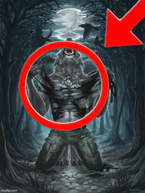 Wolf Howling | image tagged in wolf howling | made w/ Imgflip meme maker