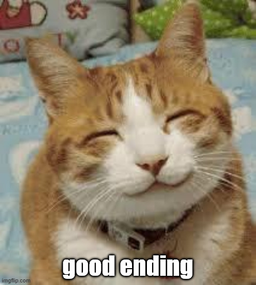 good ending | image tagged in happy cat | made w/ Imgflip meme maker
