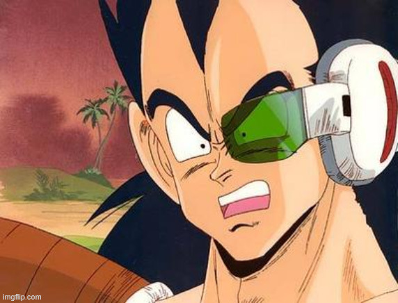 image tagged in raditz wtf | made w/ Imgflip meme maker