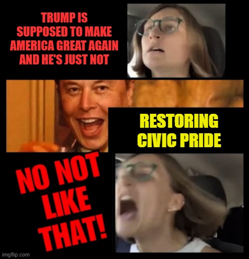 Make Citizenship Great Again | TRUMP IS SUPPOSED TO MAKE AMERICA GREAT AGAIN AND HE'S JUST NOT; RESTORING CIVIC PRIDE | image tagged in elon musk no not like that | made w/ Imgflip meme maker