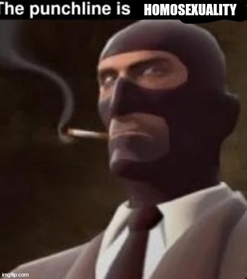 The punchline | HOMOSEXUALITY | image tagged in the punchline | made w/ Imgflip meme maker