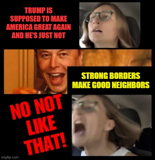 Make America Great Again | TRUMP IS SUPPOSED TO MAKE AMERICA GREAT AGAIN AND HE'S JUST NOT; STRONG BORDERS MAKE GOOD NEIGHBORS | image tagged in elon musk no not like that | made w/ Imgflip meme maker