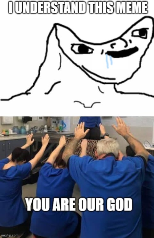 I understand this meme | image tagged in i understand this meme | made w/ Imgflip meme maker