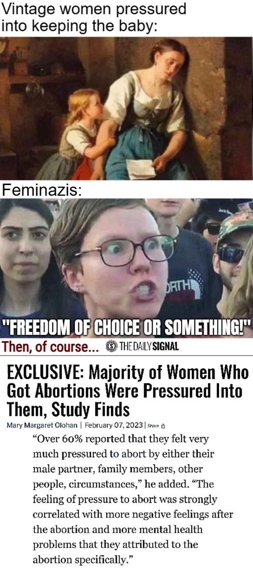 Stats say women become more Conservative as mothers and wives. That's why. 'Thriving' is marketing for becoming a Feme soldier | image tagged in feminism,sad woman,triggered liberal,abortion,american politics | made w/ Imgflip meme maker
