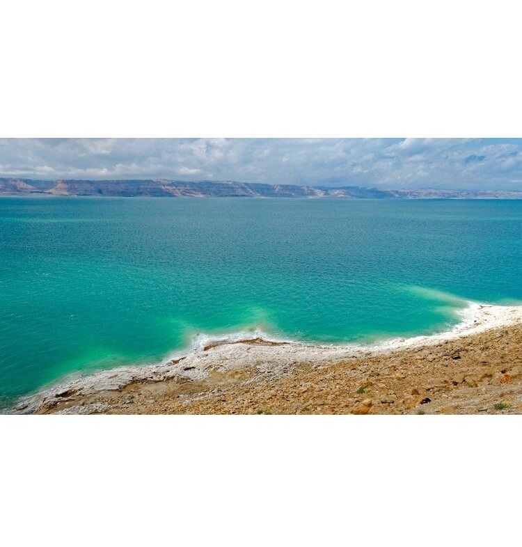 Salty Blank Meme Template