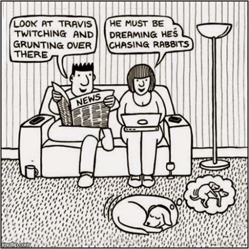 What Travis Is Really Dreaming About | image tagged in dog,dreaming,mating | made w/ Imgflip meme maker