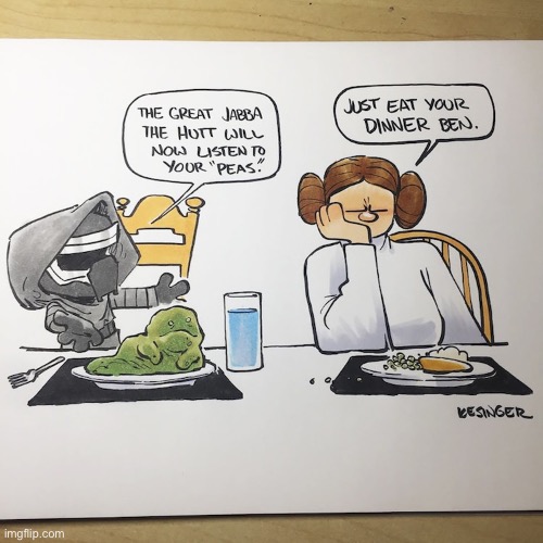 image tagged in comics,star wars,calvin and hobbes,mashup,kylo ren,princess leia | made w/ Imgflip meme maker