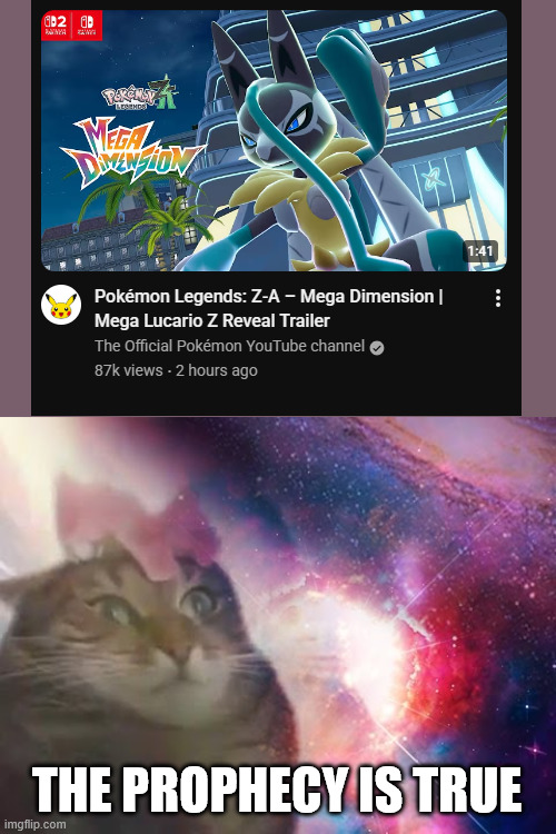 mega Z evolutions are real... | THE PROPHECY IS TRUE | image tagged in the prophecy is true cat,pokemon | made w/ Imgflip meme maker