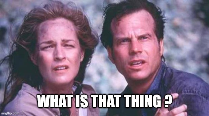 twister | WHAT IS THAT THING ? | image tagged in twister | made w/ Imgflip meme maker