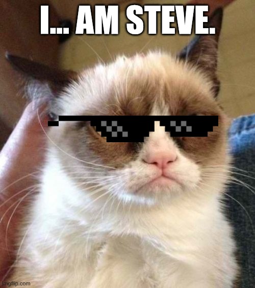 I... am Steve cat | I... AM STEVE. | image tagged in memes,grumpy cat reverse,grumpy cat | made w/ Imgflip meme maker