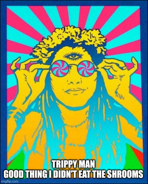 Hippie | TRIPPY MAN 
GOOD THING I DIDN'T EAT THE SHROOMS | image tagged in hippie | made w/ Imgflip meme maker