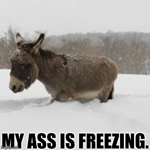 My Ass Is Freezing. | MY ASS IS FREEZING. | image tagged in chrisjoines1 | made w/ Imgflip meme maker