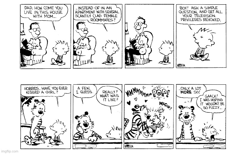 image tagged in calvin and hobbes,comics | made w/ Imgflip meme maker
