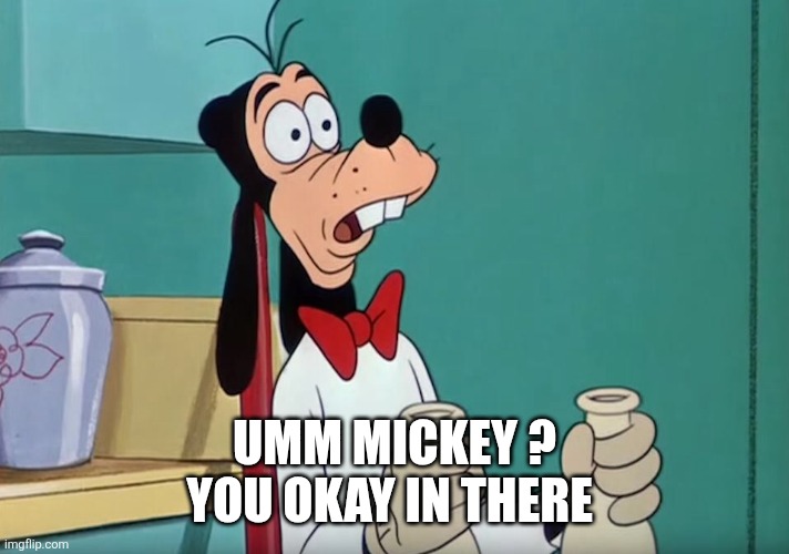 Shocked Goofy | UMM MICKEY ?
YOU OKAY IN THERE | image tagged in shocked goofy | made w/ Imgflip meme maker