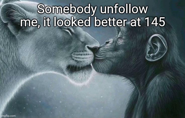 Kiss bait | Somebody unfollow me, it looked better at 145 | image tagged in kiss bait | made w/ Imgflip meme maker