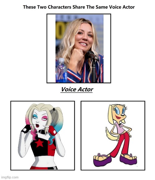 Kaley Cuoco | image tagged in same voice actor,kaley cuoco,brandy and mr whiskers,harley quinn,dc comics,disney | made w/ Imgflip meme maker