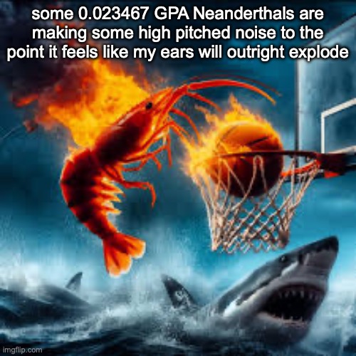 Had to turn up my music volume for this | some 0.023467 GPA Neanderthals are making some high pitched noise to the point it feels like my ears will outright explode | image tagged in ballin shrimp | made w/ Imgflip meme maker