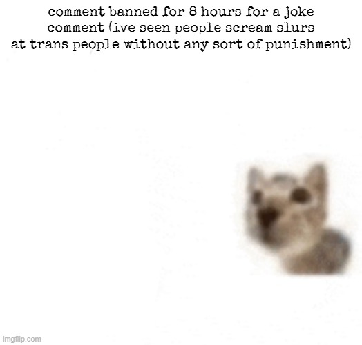 comment banned for 8 hours for a joke comment (ive seen people scream slurs at trans people without any sort of punishment) | made w/ Imgflip meme maker