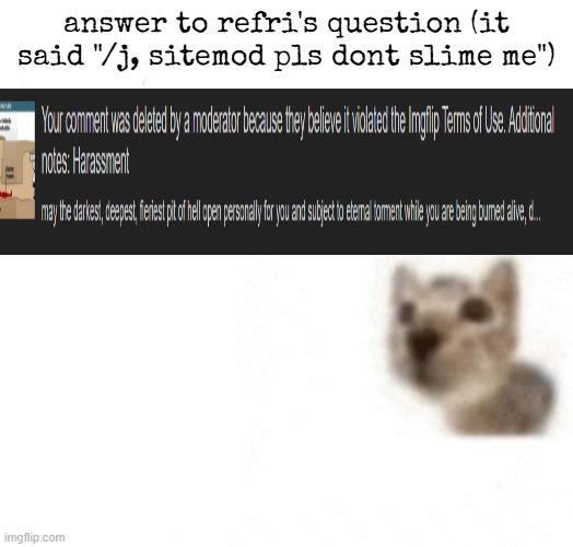answer to refri's question (it said "/j, sitemod pls dont slime me") | made w/ Imgflip meme maker