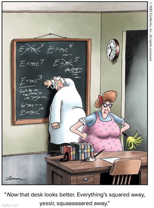 Einstein’s lesser-known collaborator on “the theory of relativity”… | image tagged in the far side,comics,albert einstein,theory of relativity | made w/ Imgflip meme maker