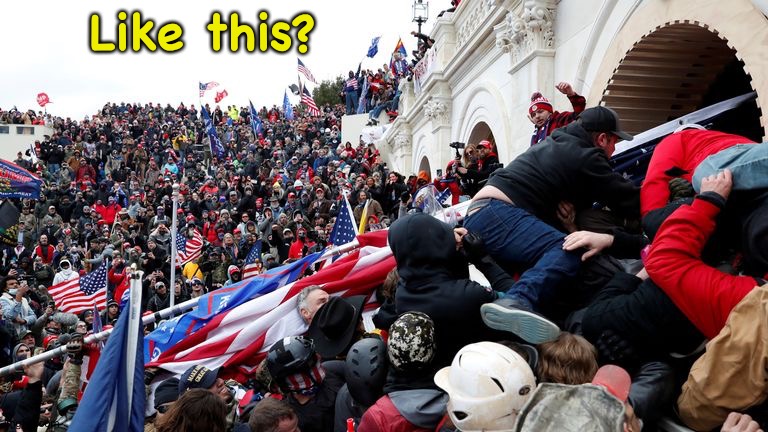 Capitol Terrorists | Like this? | image tagged in capitol terrorists | made w/ Imgflip meme maker