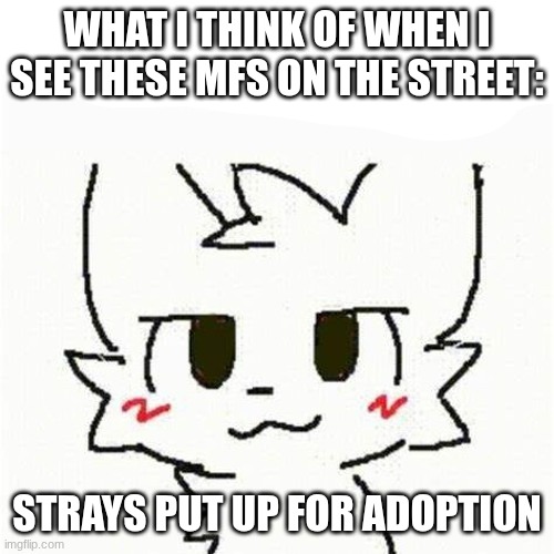 furries? | WHAT I THINK OF WHEN I SEE THESE MFS ON THE STREET:; STRAYS PUT UP FOR ADOPTION | image tagged in boykisser | made w/ Imgflip meme maker