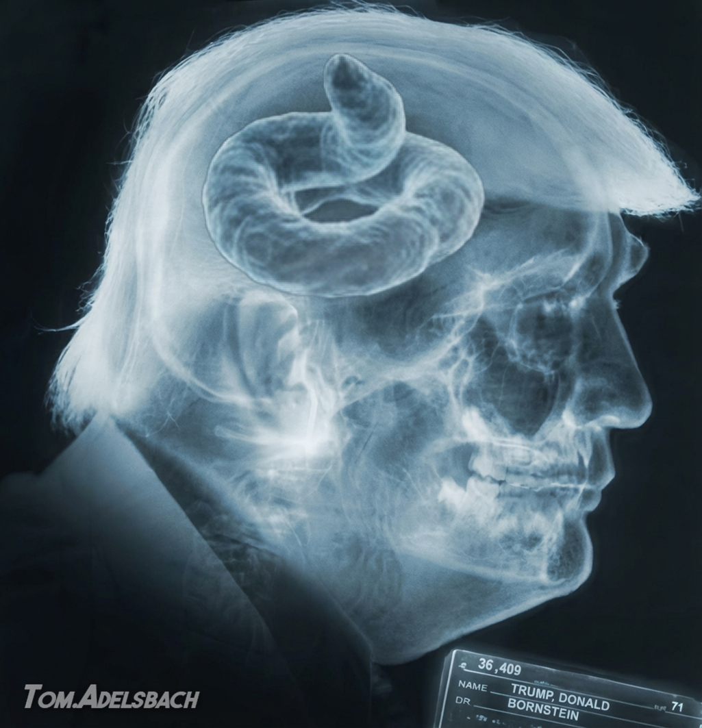 trump shyt for brains adelsbach Blank Meme Template