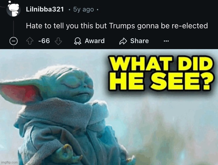 image tagged in baby yoda what did he see | made w/ Imgflip meme maker