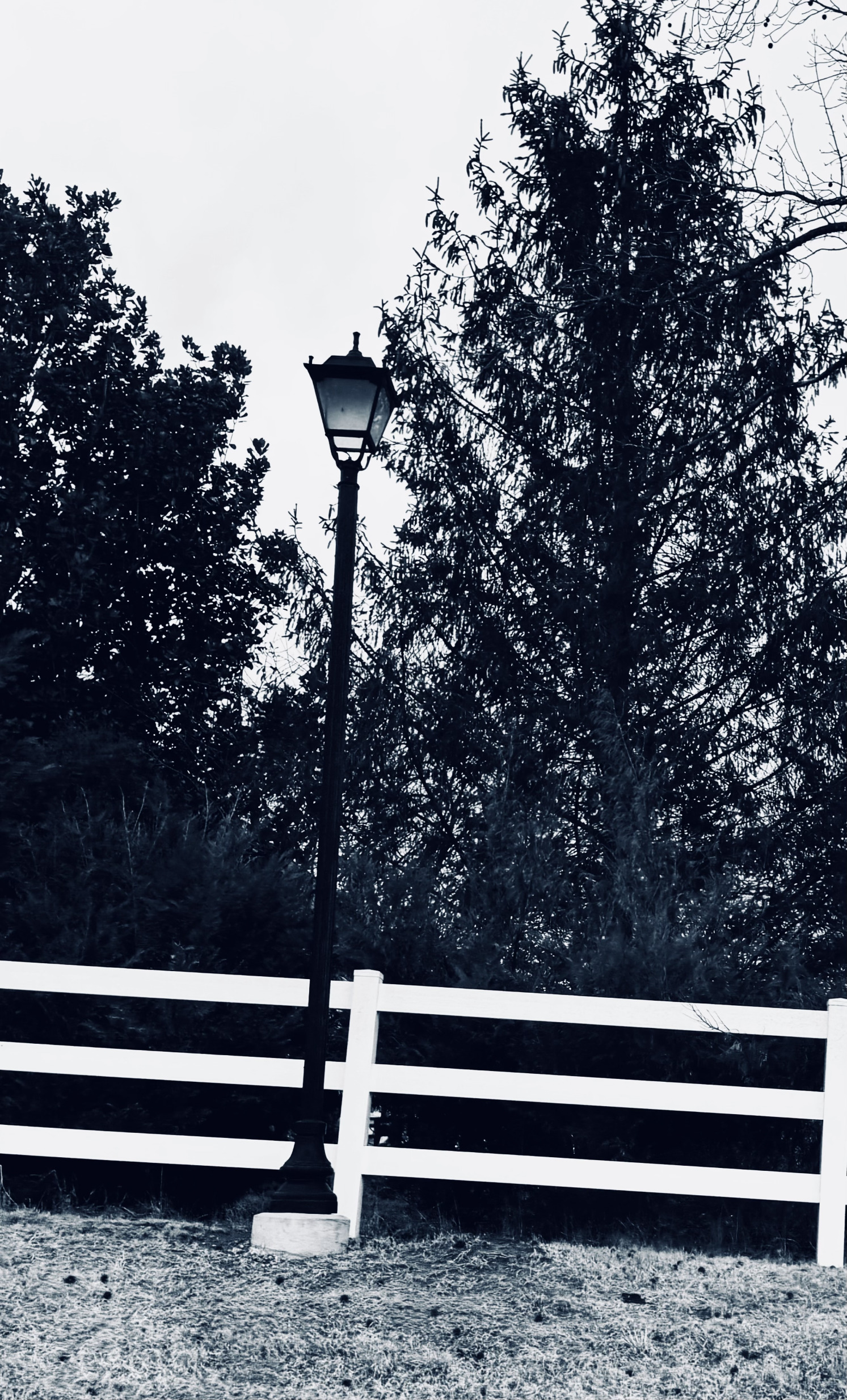 Light port Mirror Image Mode Blank Meme Template