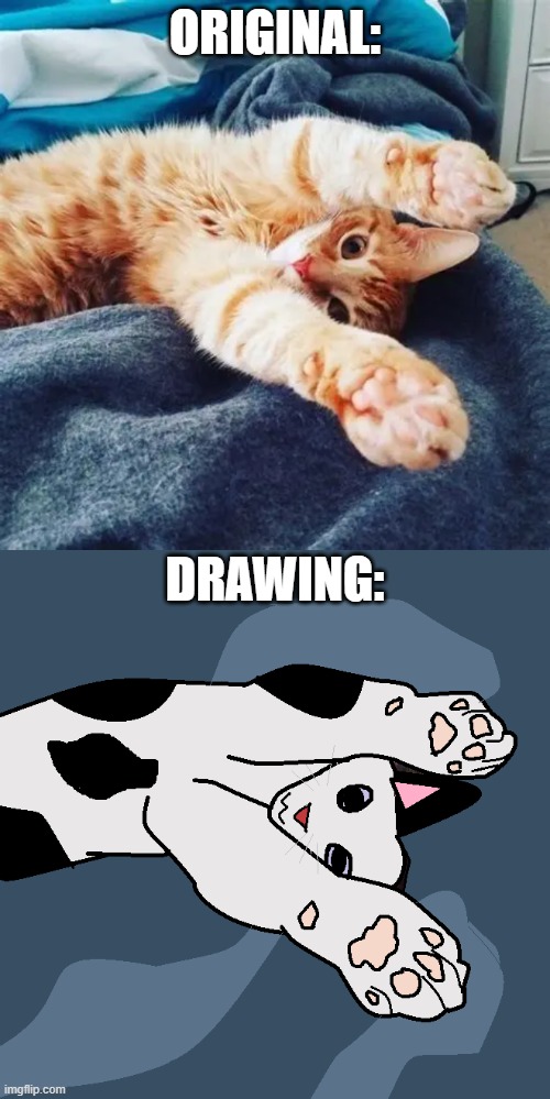 Traced a cat image i found. tried to make it more of my own. i think it looks aight. | ORIGINAL:; DRAWING: | image tagged in drawing,cat,beans | made w/ Imgflip meme maker