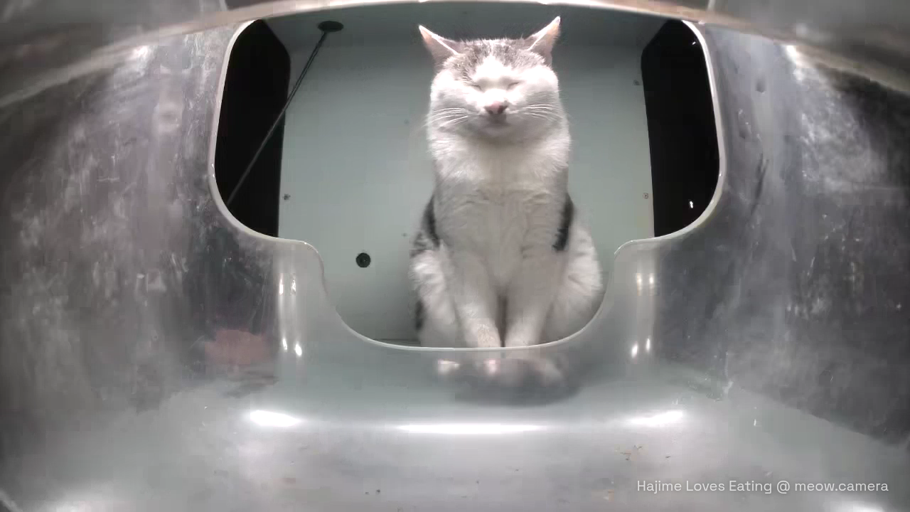 where have all my (      ) go Blank Meme Template