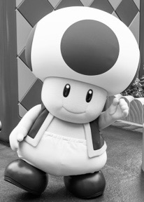 Toad Theme Park Mirror Image Mode Blank Meme Template