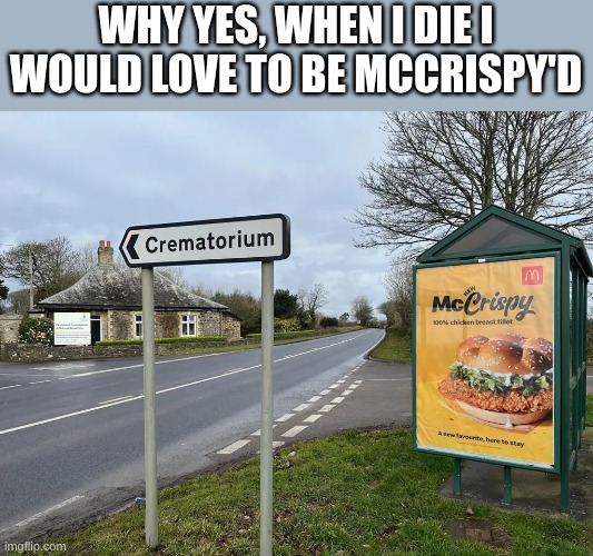 kwispy | WHY YES, WHEN I DIE I WOULD LOVE TO BE MCCRISPY'D | image tagged in mccrispy,world war 2,dark humor | made w/ Imgflip meme maker