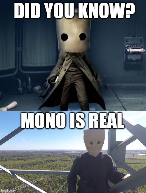 Little Nightmares 2, Mono | DID YOU KNOW? MONO IS REAL | image tagged in gaming,little nightmares 2,lattice climbing,climbing memes,creepypasta,humor | made w/ Imgflip meme maker
