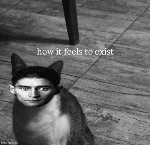 ts so kafkaesque | image tagged in ts so kafkaesque | made w/ Imgflip meme maker