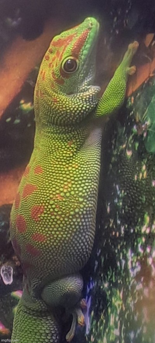 This dude keeps trying to sell me car insurance | made w/ Imgflip meme maker