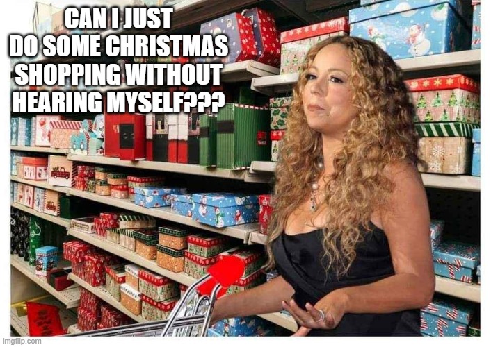 All She Wants for Christmas | CAN I JUST DO SOME CHRISTMAS SHOPPING WITHOUT HEARING MYSELF??? | image tagged in mariah carey,christmas | made w/ Imgflip meme maker