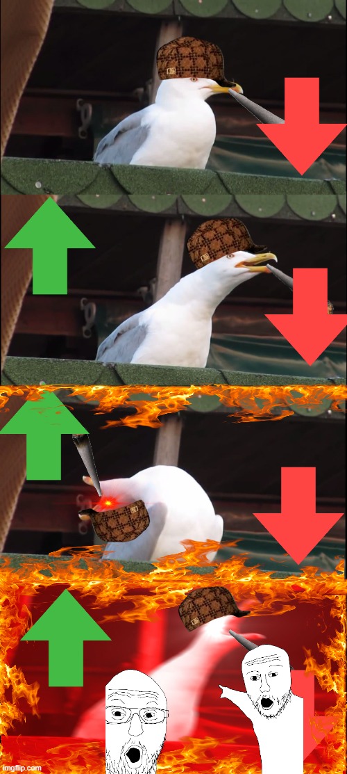 Drip pt. 48 | image tagged in memes,inhaling seagull,funny,fun,drip,stop reading the tags | made w/ Imgflip meme maker