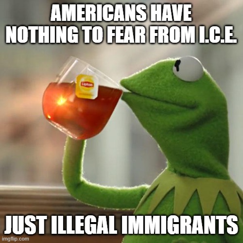 But That's None Of My Business Meme | AMERICANS HAVE NOTHING TO FEAR FROM I.C.E. JUST ILLEGAL IMMIGRANTS | image tagged in memes,but that's none of my business,kermit the frog | made w/ Imgflip meme maker