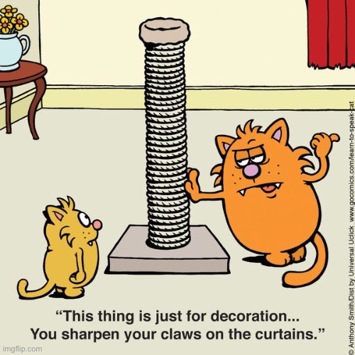 Learn to Speak Cat | image tagged in cats,comics,learn to speak cat,scratching | made w/ Imgflip meme maker