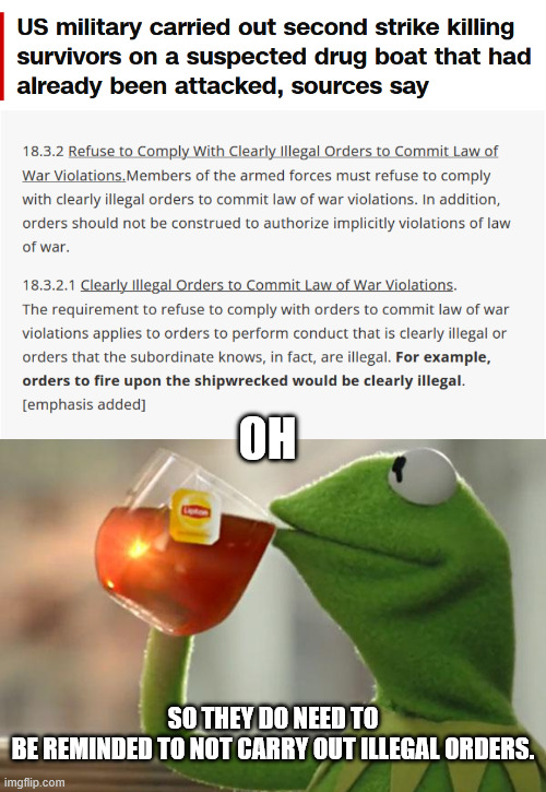 OH; SO THEY DO NEED TO BE REMINDED TO NOT CARRY OUT ILLEGAL ORDERS. | image tagged in memes,but that's none of my business | made w/ Imgflip meme maker